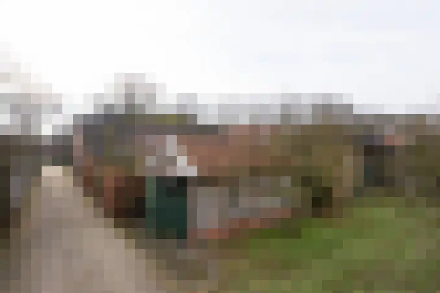 Kieftendijk 89 a Rietmolen thumbnail 37
