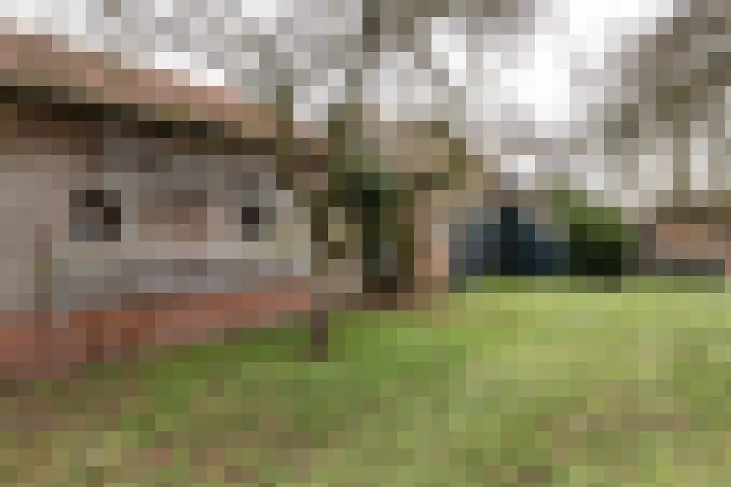 Kieftendijk 89 a Rietmolen thumbnail 39