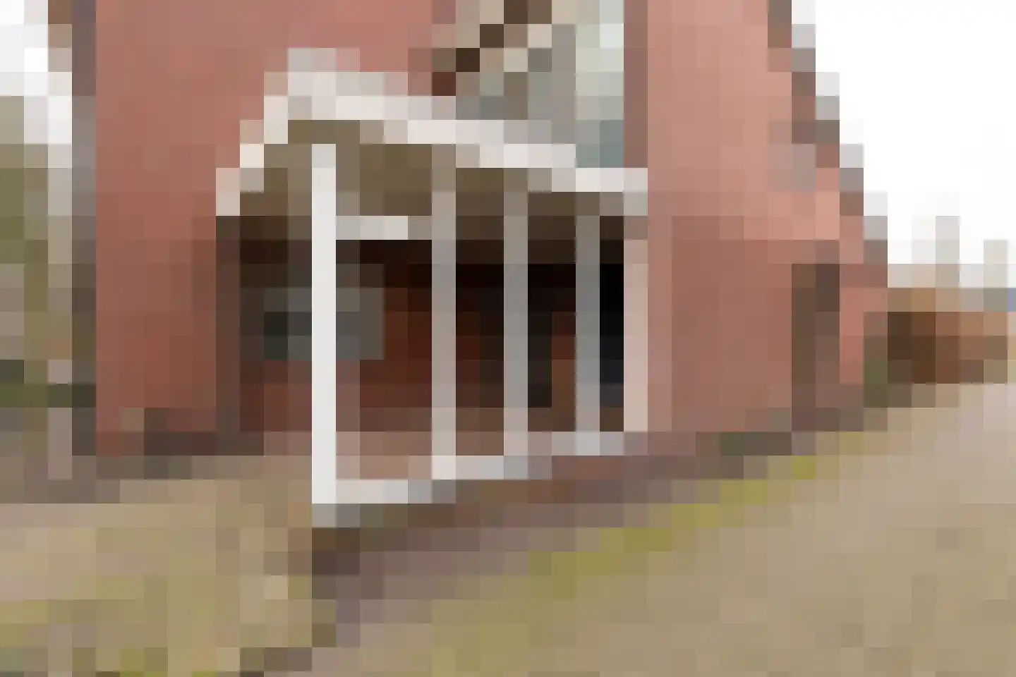 Kieftendijk 89 a Rietmolen thumbnail 40