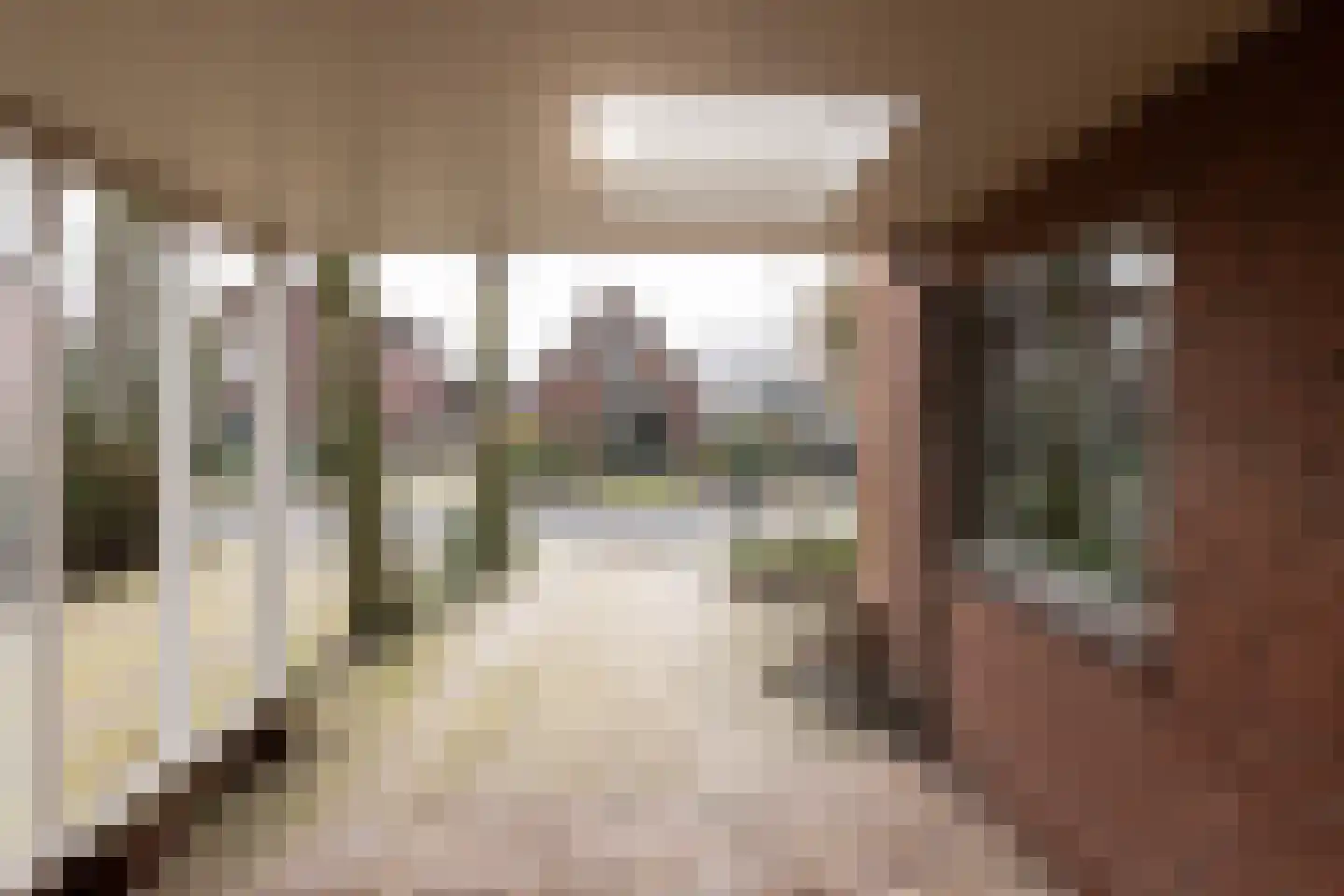 Kieftendijk 89 a Rietmolen thumbnail 42