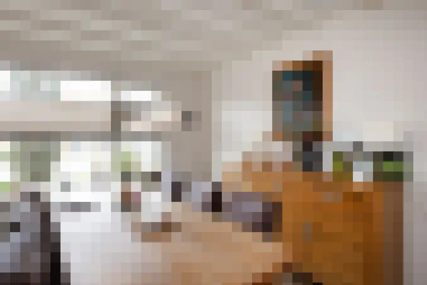 Kieftendijk 89 a Rietmolen thumbnail 5