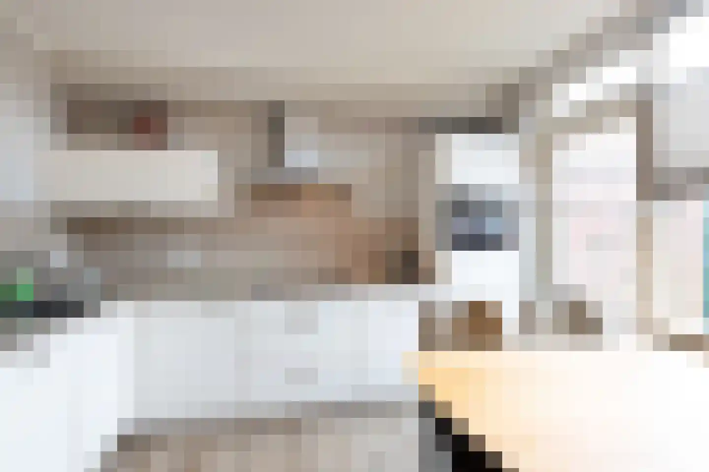 Kieftendijk 89 a Rietmolen thumbnail 8