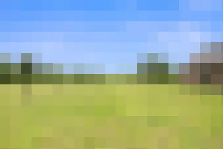 Kieftendijk 9 Neede thumbnail 25