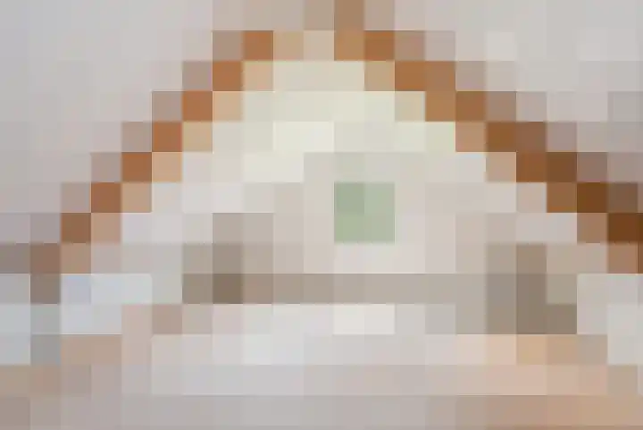 Kieftendijk 9 Neede thumbnail 28
