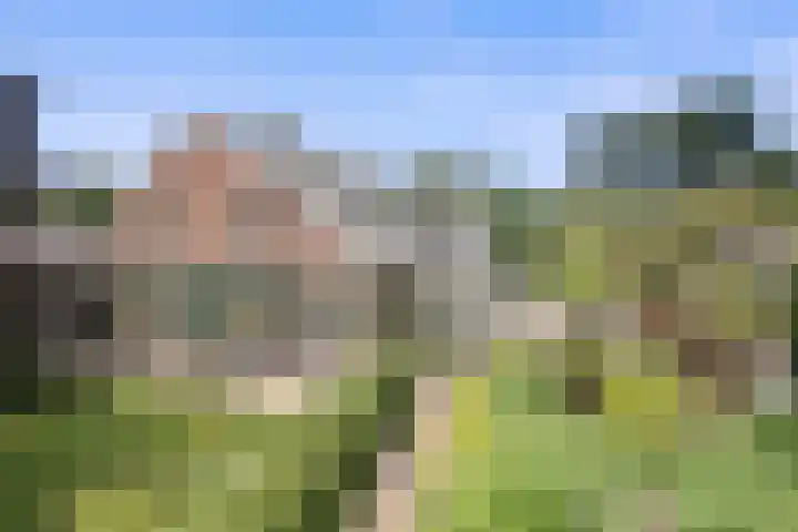 Kieftendijk 9 Neede thumbnail 4