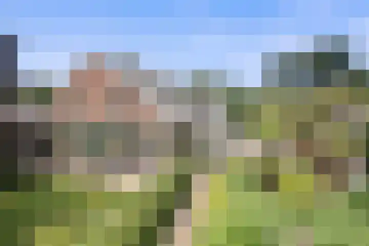 Kieftendijk 9 Neede thumbnail 44
