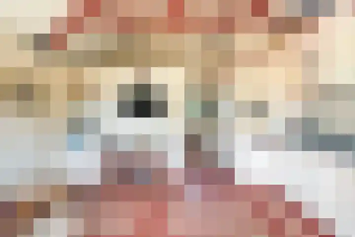 Kieftendijk 9 Neede thumbnail 63