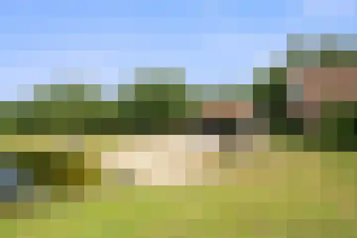 Kieftendijk 9 Neede thumbnail 70