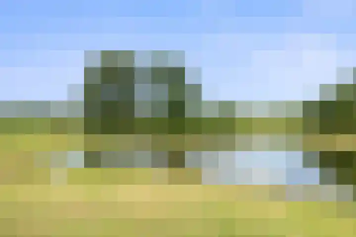 Kieftendijk 9 Neede thumbnail 71