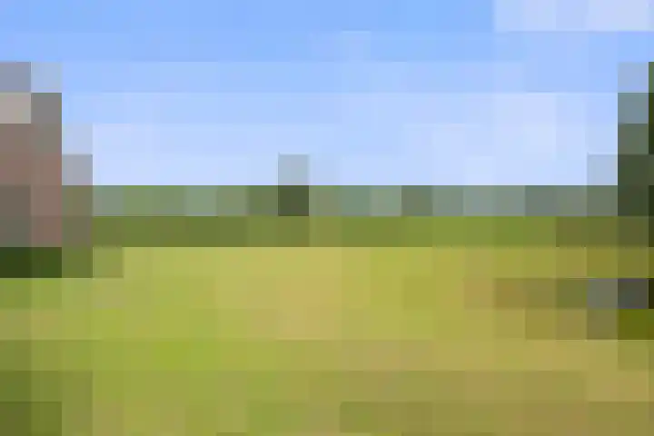 Kieftendijk 9 Neede thumbnail 73