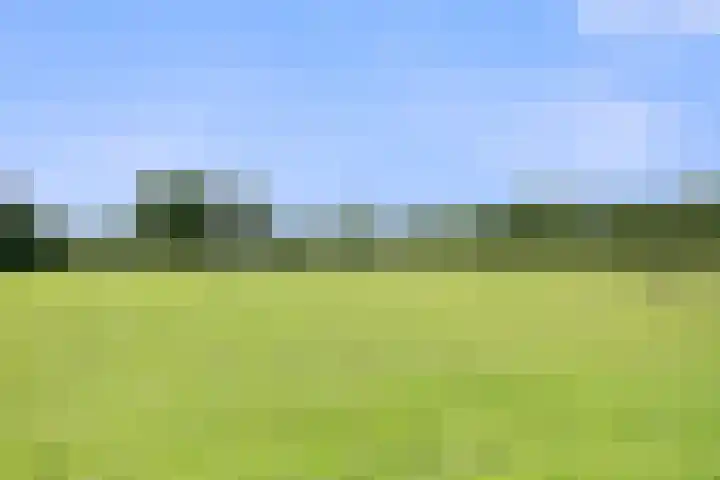 Kieftendijk 9 Neede thumbnail 74
