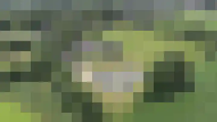 Kieftendijk 9 Neede thumbnail 75