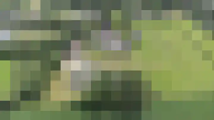 Kieftendijk 9 Neede thumbnail 76