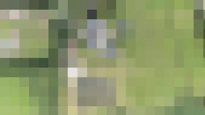Kieftendijk 9 Neede thumbnail 78