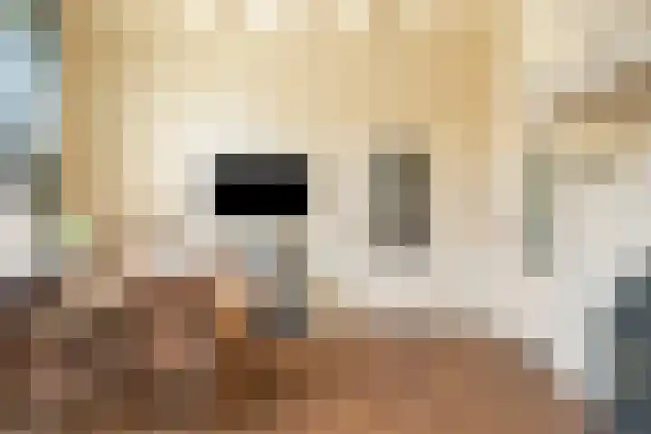 Kieftendijk 9 Neede thumbnail 8
