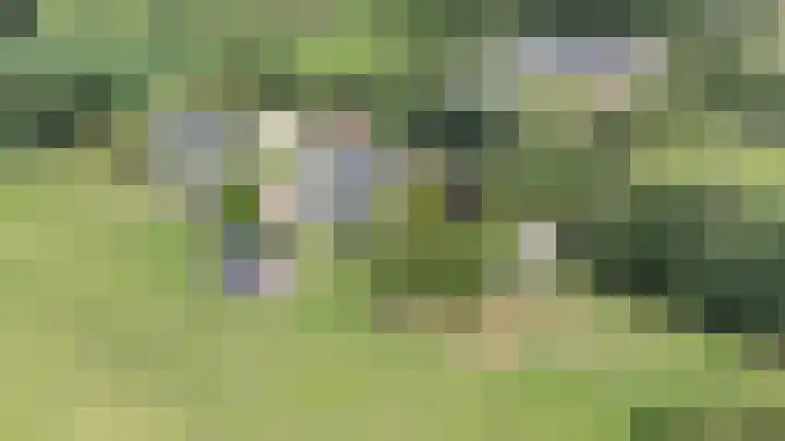 Kieftendijk 9 Neede thumbnail 81