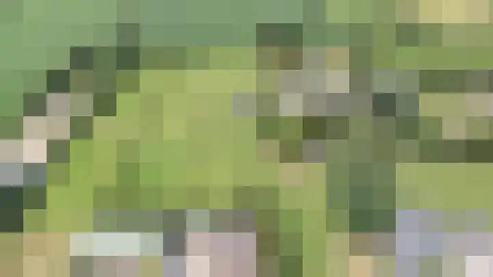 Kieftendijk 9 Neede thumbnail 82