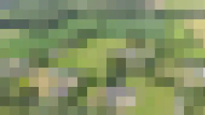 Kieftendijk 9 Neede thumbnail 83