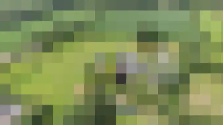 Kieftendijk 9 Neede thumbnail 84