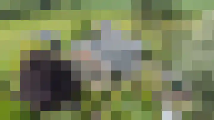 Kieftendijk 9 Neede thumbnail 85