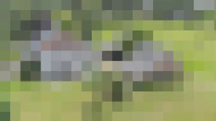 Kieftendijk 9 Neede thumbnail 86