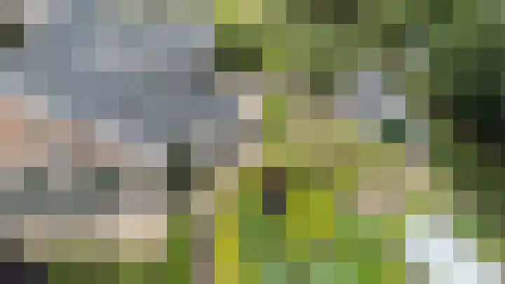 Kieftendijk 9 Neede thumbnail 87