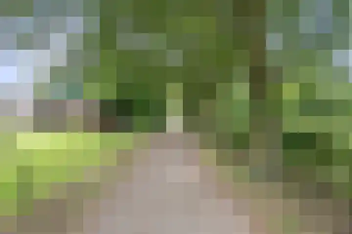 Kieftendijk 9 Neede thumbnail 88