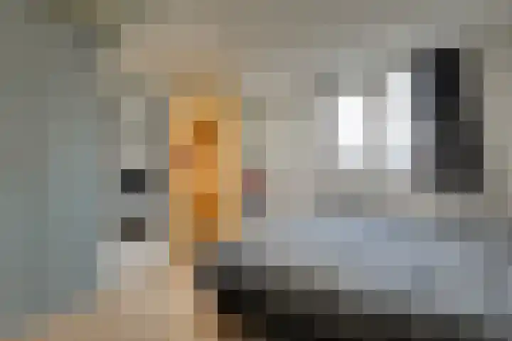 Kieftentuin 101 Zwaag thumbnail 14