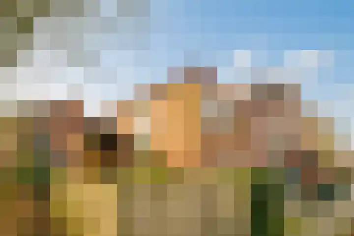 Kieftentuin 101 Zwaag thumbnail 17