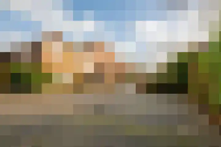 Kieftentuin 101 Zwaag thumbnail 20