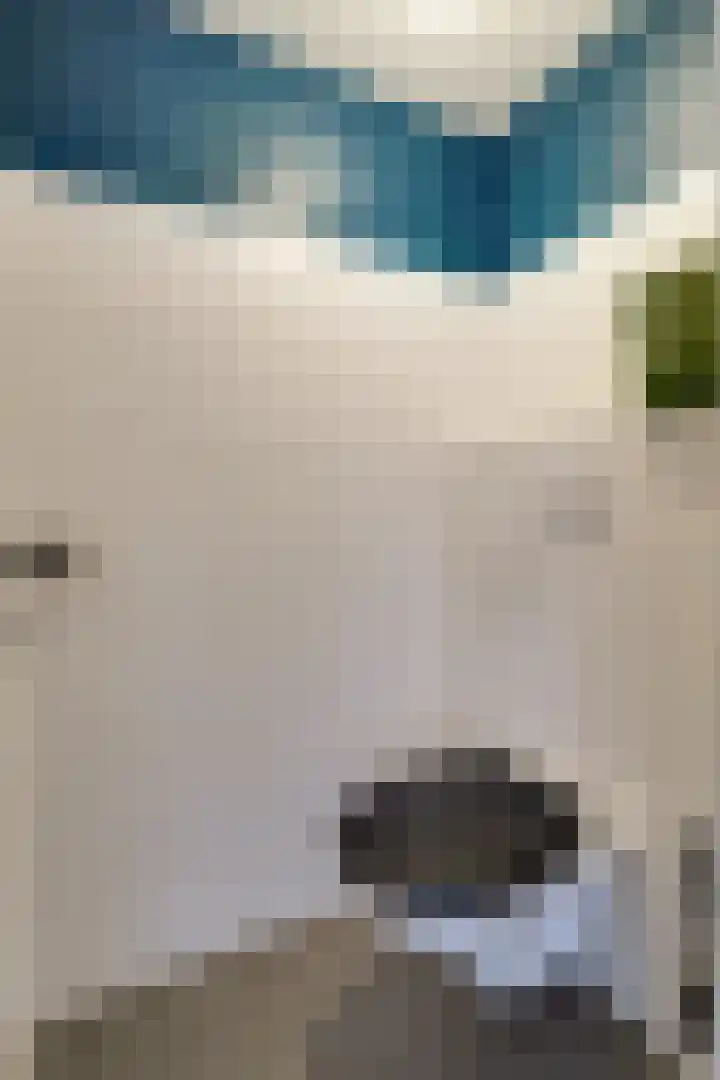 Kieftentuin 101 Zwaag thumbnail 7