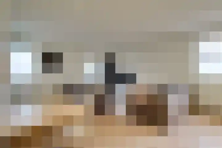 Kieftentuin 101 Zwaag thumbnail 8