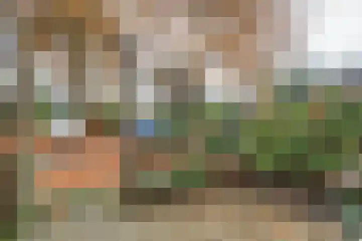 Kieftentuin 114 Zwaag thumbnail 42