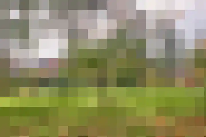 Kieftentuin 114 Zwaag thumbnail 45