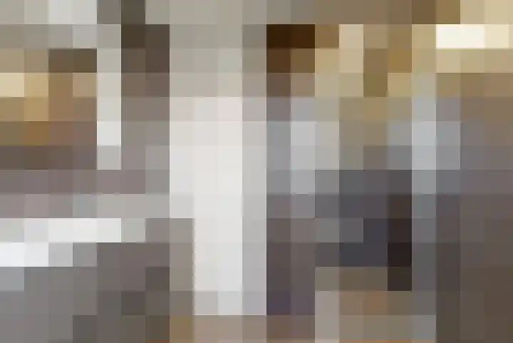 Kieftentuin 12 Zwaag thumbnail 16
