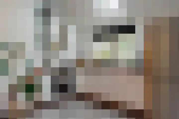 Kieftentuin 12 Zwaag thumbnail 6
