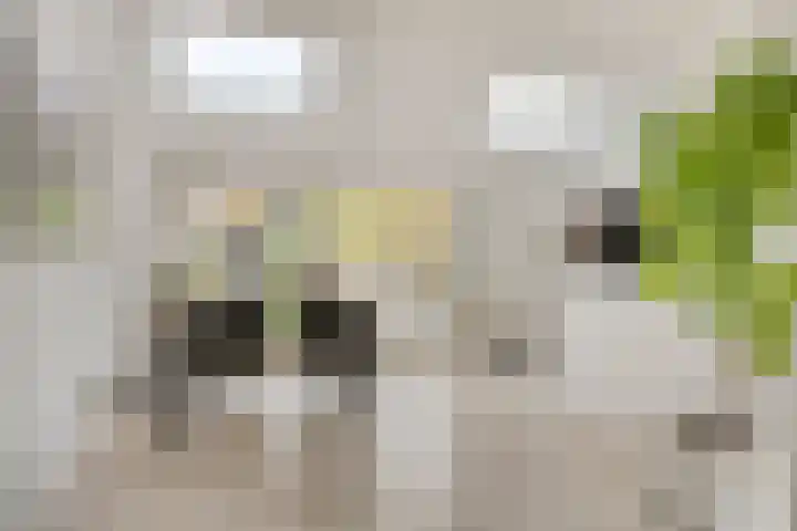 Kieftentuin 21 Zwaag thumbnail 10