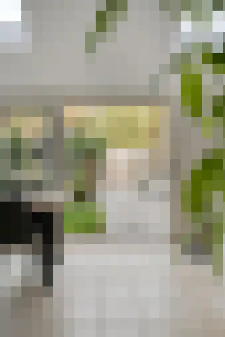 Kieftentuin 21 Zwaag thumbnail 13