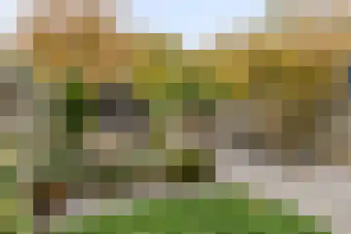 Kieftentuin 21 Zwaag thumbnail 23