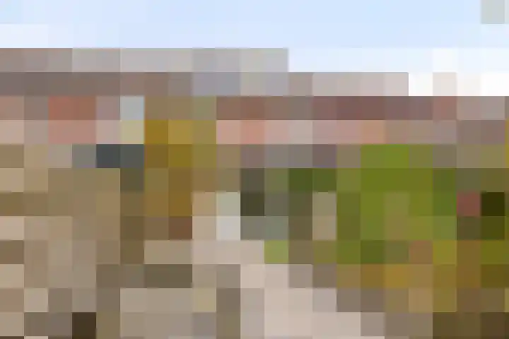Kieftentuin 21 Zwaag thumbnail 24
