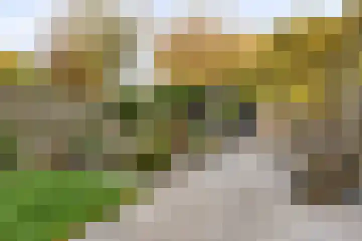 Kieftentuin 21 Zwaag thumbnail 5