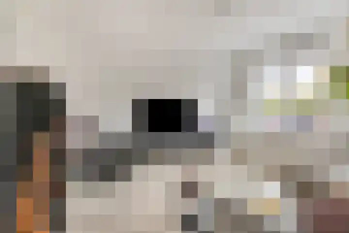 Kieftentuin 21 Zwaag thumbnail 8