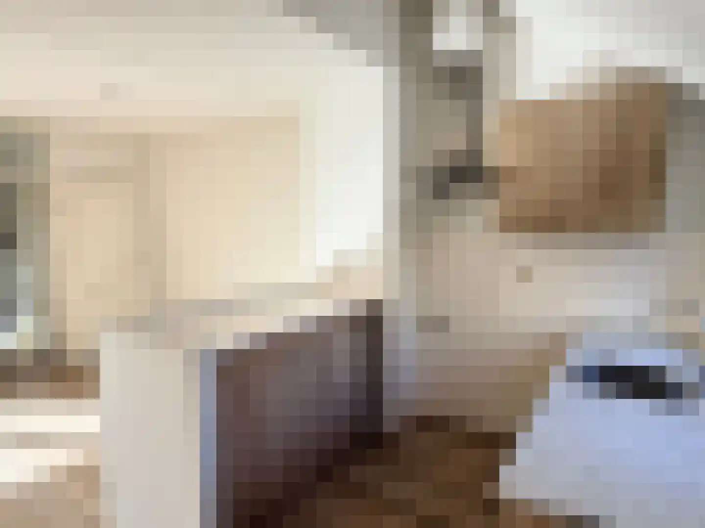 Kieftentuin 23 Zwaag thumbnail 11