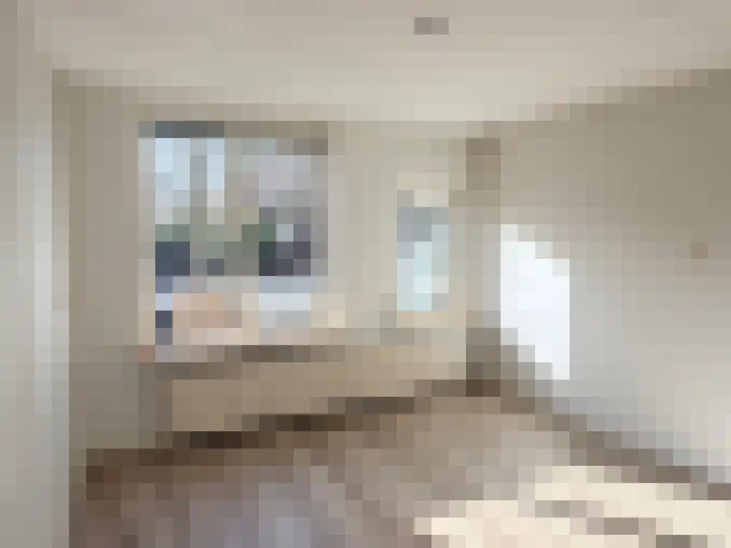 Kieftentuin 23 Zwaag thumbnail 17
