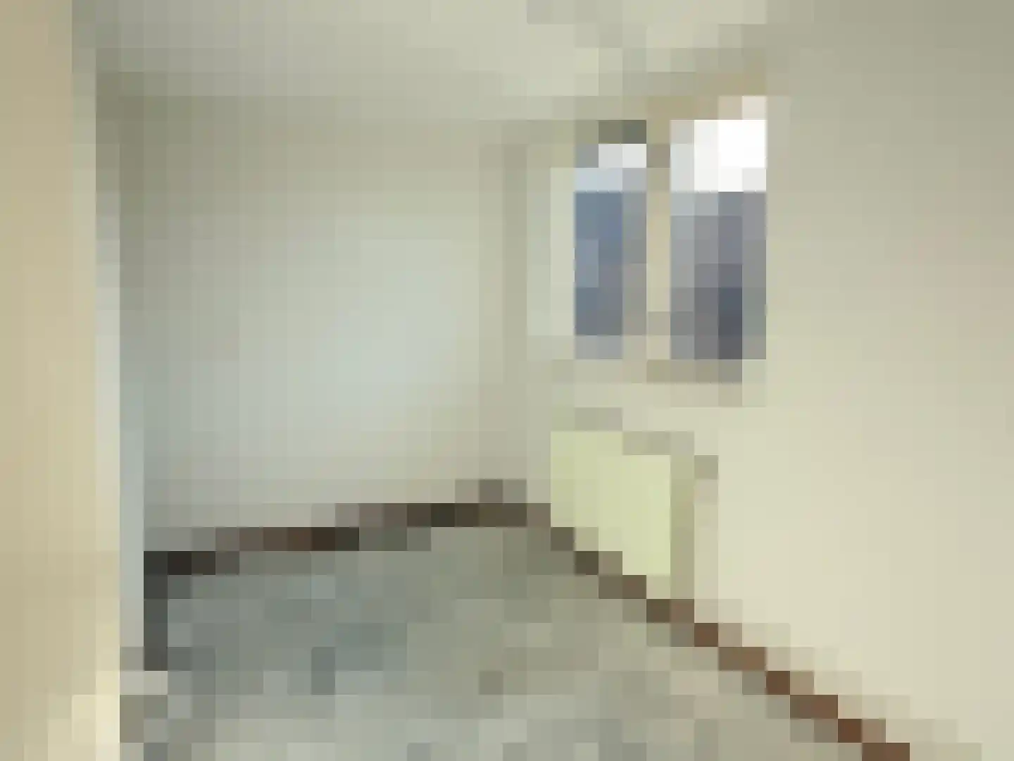 Kieftentuin 23 Zwaag thumbnail 28