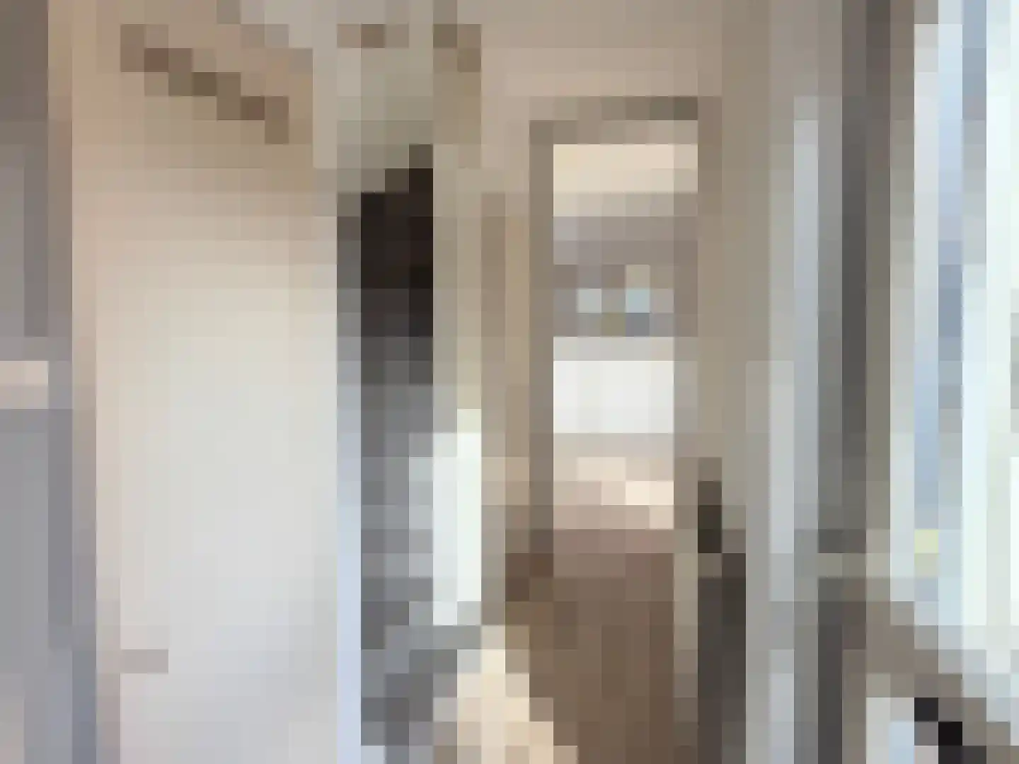 Kieftentuin 23 Zwaag thumbnail 5