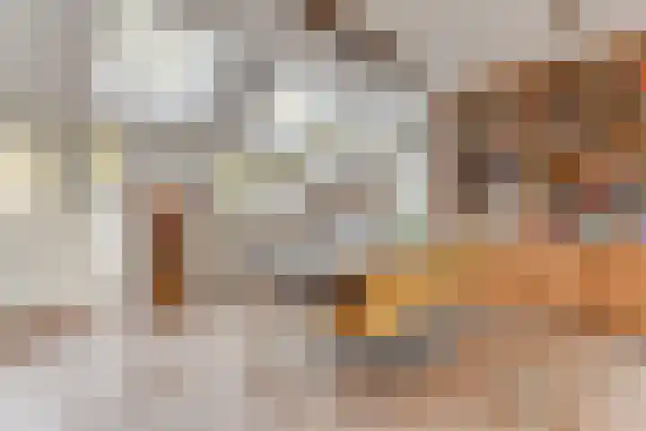 Kieftentuin 24 Zwaag thumbnail 14