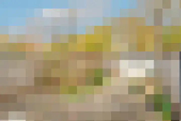 Kieftentuin 24 Zwaag thumbnail 34