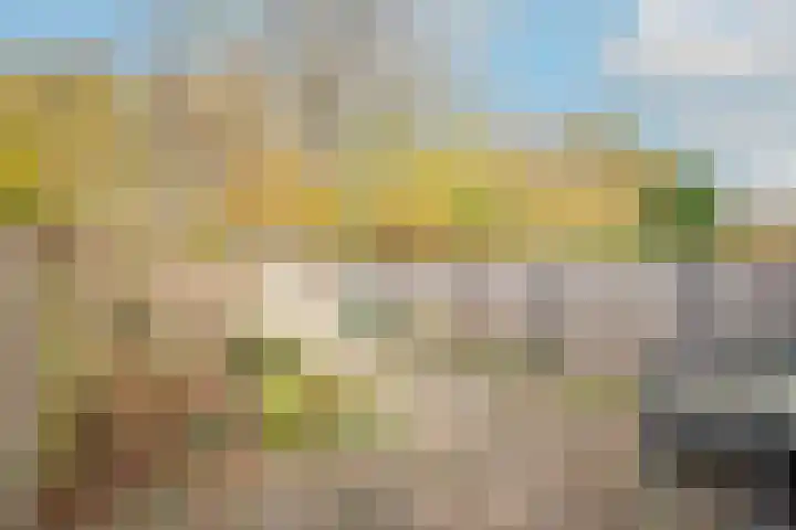 Kieftentuin 24 Zwaag thumbnail 6