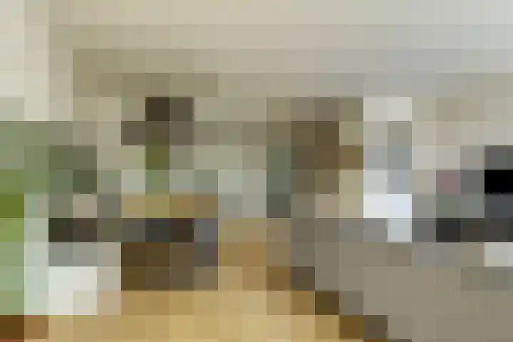 Kieftentuin 47 Zwaag thumbnail 17